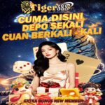 Slot Casino TIGER388 Terbaik 2025 Versi Bettor